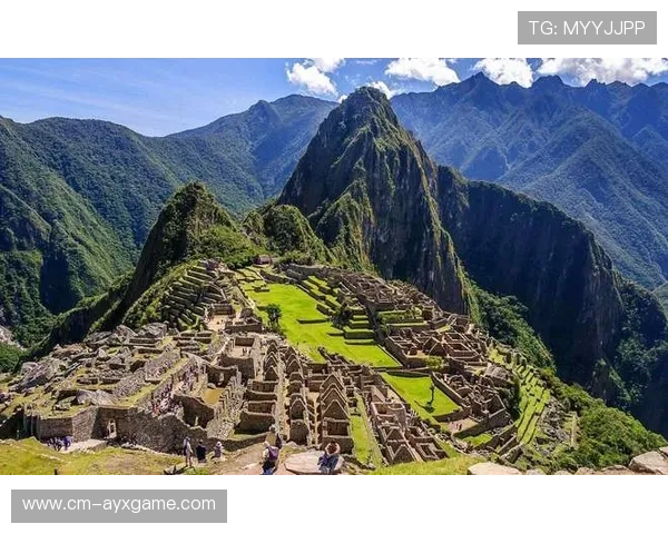 多名核心状态断崖式下滑，原因至今成谜