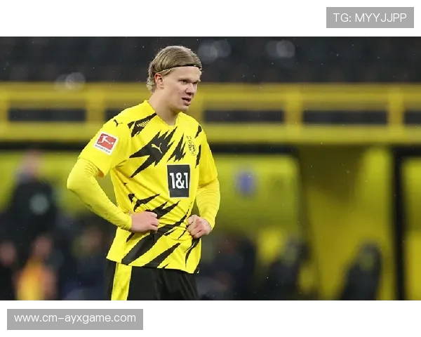 多特哈兰德旧将回归制造杀机